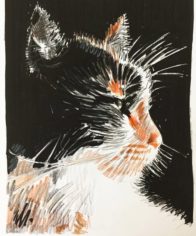 Cat Portrait